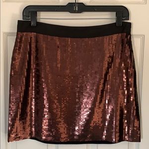 Banana Republic Sequin Skirt